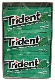 TRIDENT BIG GUM SPEARMINT